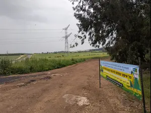 במטרה לעודד פיתוח בחבל לכיש ובנגב: קק"ל בהשקעה חסרת תקדים