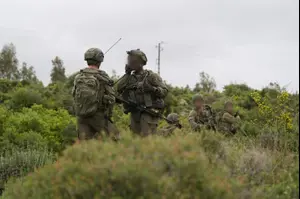 הותר לפרסום: ארבעה חיילי צה