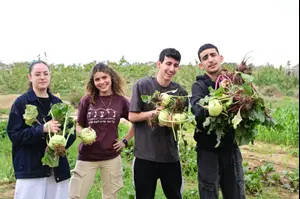 מיזם גב לצפון: הסוכנות היהודית בפרוייקט הכנה לבגרויות עבור 1,500 תלמידי גבול הצפון