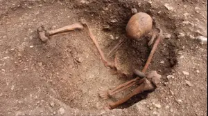 תעלומה בחצר: השלדים שנמצאו מתחת לבית הספר בתנוחה מצמררת