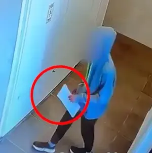 רגל כרותה של חתול וצלב קרס: בן 15 נאשם בהתעללות אכזרית