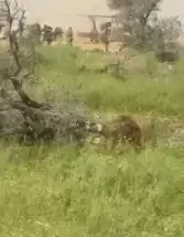 זול וקטלני: המאבק של משרד הביטחון ברחפני הסיב האופטי בלבנון | פרסום ראשון