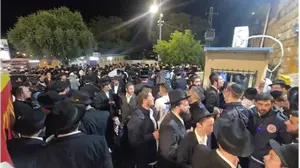 בין 