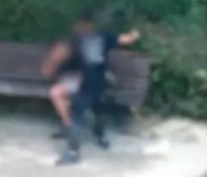 בועט ומכה באגרופים: בן 14 נאשם שתקף נער בגינה ציבורית | תיעוד
