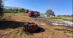 צמיגים בוערים ויידוי אבנים: הדרוזים בגולן זועמים על חידוש פעילות חברת האנרגיה