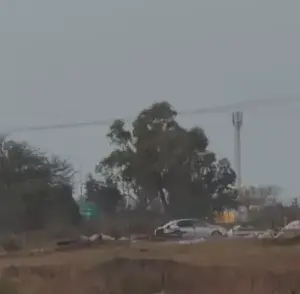 מרדף בבית קמה: צעירים גנבו כבשה - הבעלים חסמו את רכבם