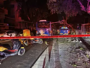 הטרגדיה בדיזנגוף: נקבע מותה של טליה חיה טימסית בת ה-11, שנפגעה בתאונת אוטובוס