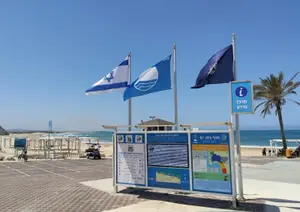 ללכת רק אליהם: אלה החופים הנקיים והבטוחים בישראל ל-2026