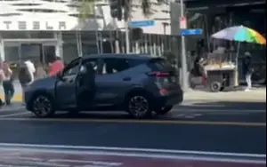 שיסה כלב בזוג יהודים בלוס אנג'לס - ושוחרר בערבות של 2,500 דולר