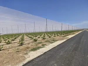 החיזור אחר קולות תושבי העוטף: אמנת ההתחייבות מהמועמדים לכנסת