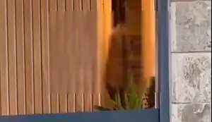 הלקוחות בפאב נדהמו כשראו מה קורה בחלון הראווה של ה