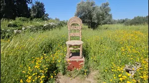 חשבנו שמודיעין היא רק עיר שינה. טעינו בגדול