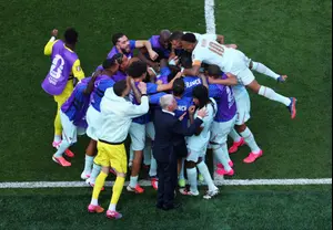 wallaSport article image