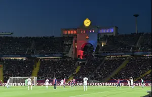 wallaSport article image