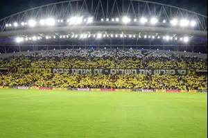 "שימוש באמצעים פירוטכניים עשוי להוביל למאסר"