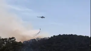 נמלטו מהלהבות וקפצו לים: עשרות חולצו בסירות משריפת הענק בכרתים