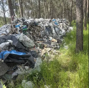 בזמן שאתם בחופשה, עברייני פסולת הפכו את היער למזבלת ענקית