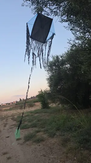 עפיפון חדר מעזה לעוטף; ראש המועצה: "חציית קו אדום"