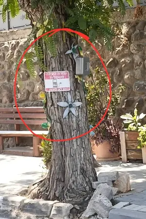 קנס של 320 ש"ח בשל "עץ טעינה": עיריית טבריה נלחמת בעמדות פיראטיות בעיר