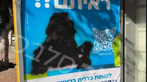 שוב זה קורה: שלט חוצות עם תמונתה של יעל בר זוהר הושחת