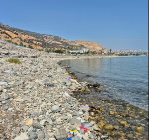 משבר האצות מוריד את הכנרת: ירדה 10 ס"מ ב-10 ימים