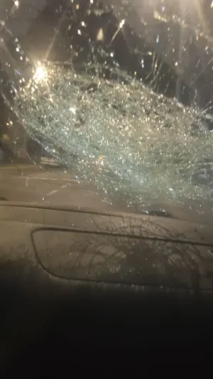 "צריך שפעם אחת עבריינים במסווה של אוהדים ישבו בכלא"