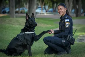 הכלבים המשטרתיים שעוצרים שב"חים, פורצים ועברייני מין