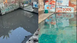 איפה המים הכחולים? כך נראה עכשיו מעיין עין ג'ונס שבסכנת קריסה