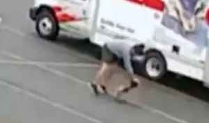 חיה מסתורית תקפה שלושה בני אדם – והמשטרה עדיין מחפשת אותה
