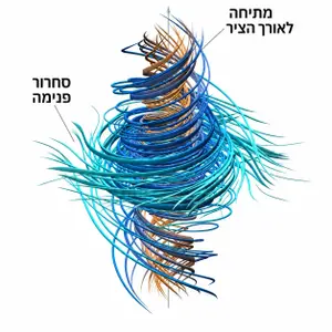 פריצת דרך או משחק מלוכלך? OpenAI טוענת ש-AI פתר בעיה בת 90 שנה