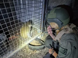 50 ימי מאסר לאדם שהחזיק קוף קשור בשרשרת ברזל בביתו