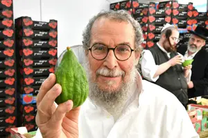 האתרוג שהרבי מלובביץ' בירך עליו – הפך לפרדס פירות ב-10,000 שקל