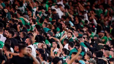 אוהדי מכבי חיפה. מאור אלקסלסי