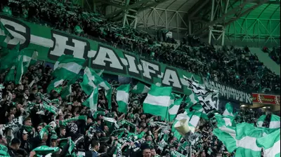 אוהדי מכבי חיפה. מאור אלקסלסי