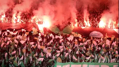 אוהדי מכבי חיפה. מאור אלקסלסי