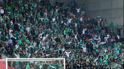 אוהדי מכבי חיפה. דני מרון