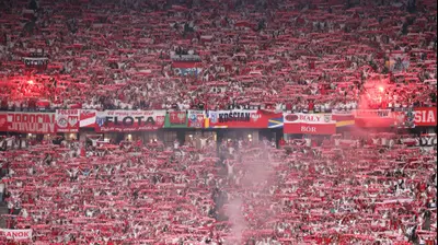 אוהדי נבחרת פולין. Julian Finney,GettyImages