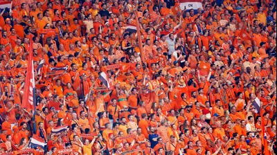 אוהדי נבחרת הולנד. רויטרס