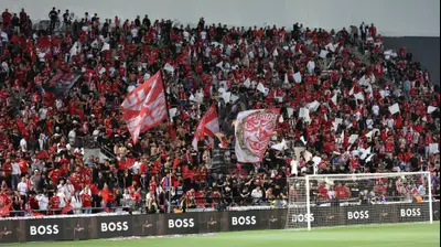 אוהדי הפועל באר שבע. דני מרון