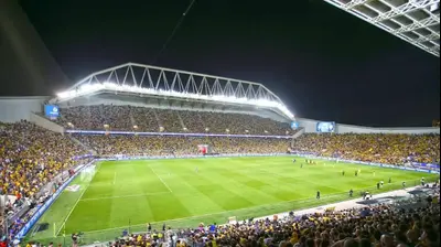 אצטדיון בלומפילד, אוהדי מכבי תל אביב במשחק האליפות 2024/25. אודי ציטיאט