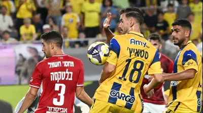 נמניה סטואיץ', מכבי תל אביב. ברני ארדוב