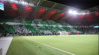 אוהדי מכבי חיפה. מאור אלקסלסי