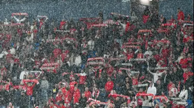 אוהדי הפועל תל אביב. ברני ארדוב