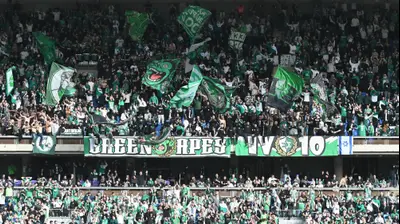 אוהדי מכבי חיפה. ברני ארדוב