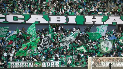 אוהדי מכבי חיפה. קובי אליהו