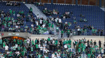 אוהדי מכבי חיפה. דני מרון