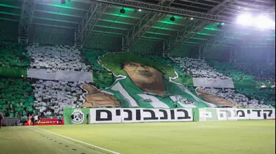 אוהדי מכבי חיפה. מאור אלקסלסי