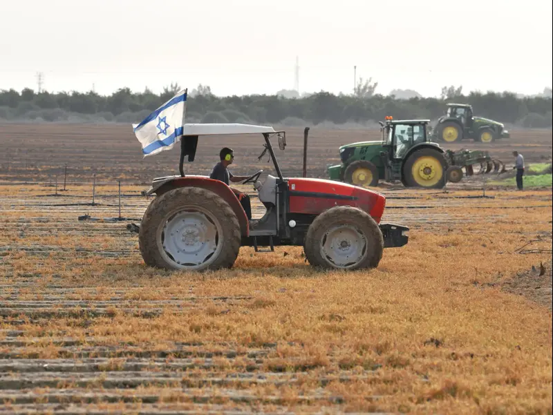 "נזקים של עשרות מליונים - קטסטרופה": החקלאים מיואשים