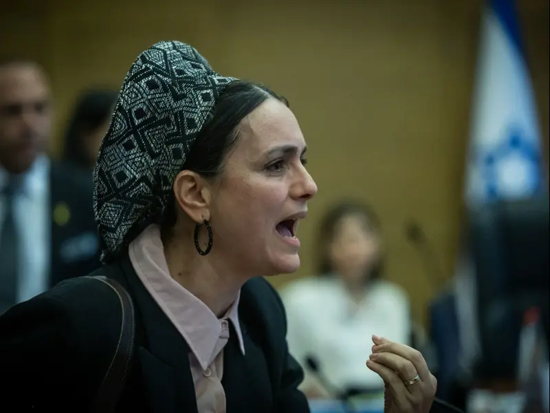 לימור סון הר מלך בדיון הוועדה לביטחון לאומי על שיתוף הפעולה עם פורום מיכל סלה, 5 במרץ 2024