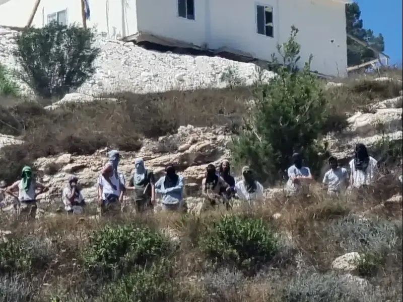 מתנחלים מתפרעים ביהודה ושומרון